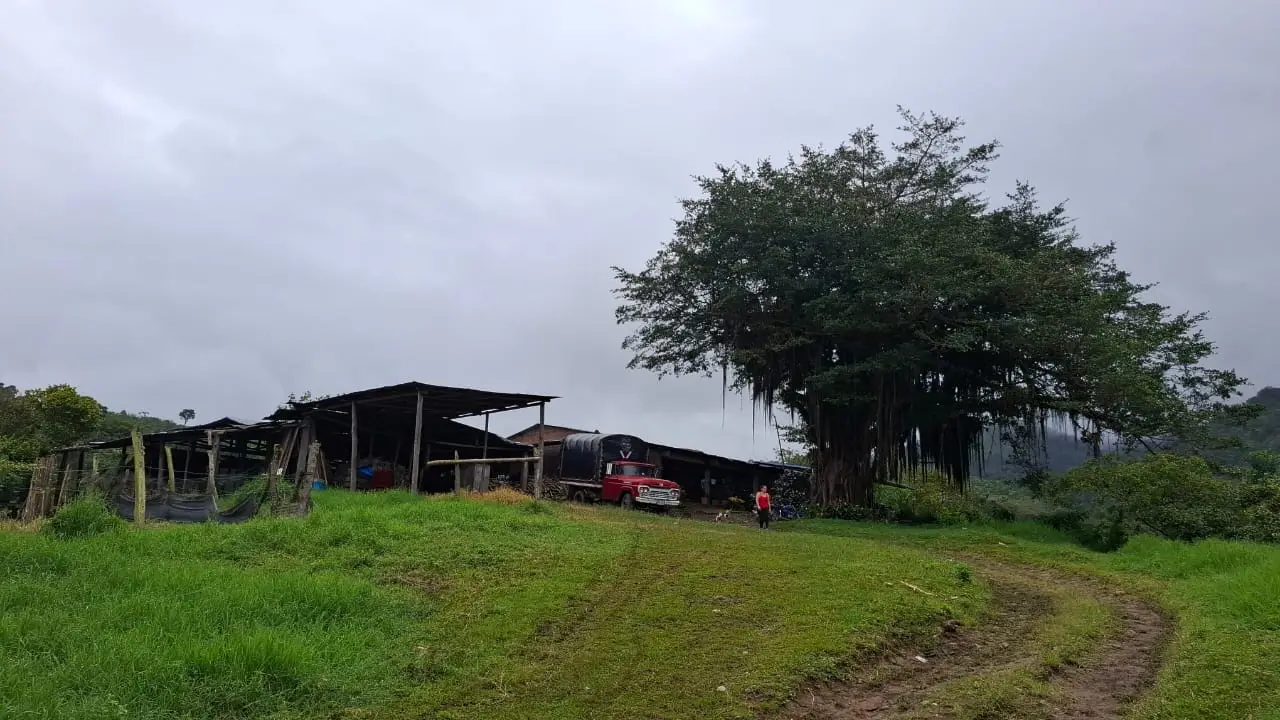 Finanzas familiares: cómo ahorrar e invertir lo que da la tierra