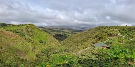 Familia Familia Losada, La Plata, Huila — Libertad Campesina