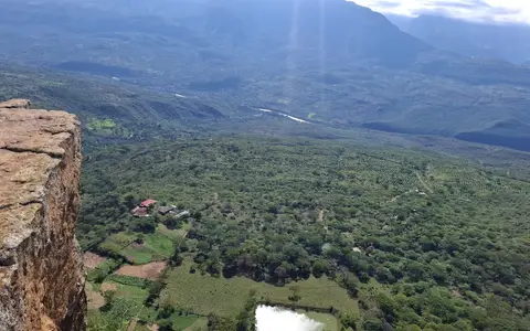 5 claves para un café de alta calidad y mejor precio — Libertad Campesina