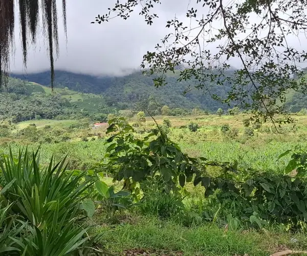 Trabajo en equipo — Libertad Campesina, Gigante (Huila)