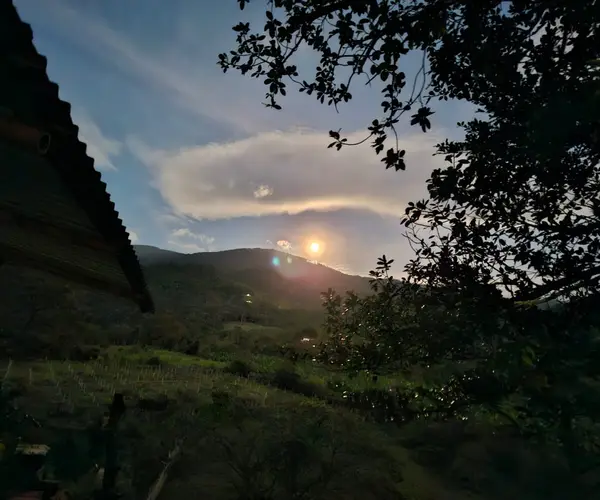 Manos y cosecha — Libertad Campesina, Gigante (Huila)