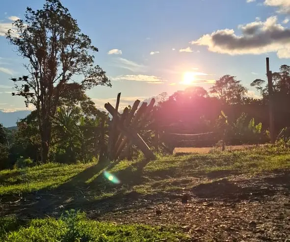 Familia trabajando — Libertad Campesina, Gigante (Huila)