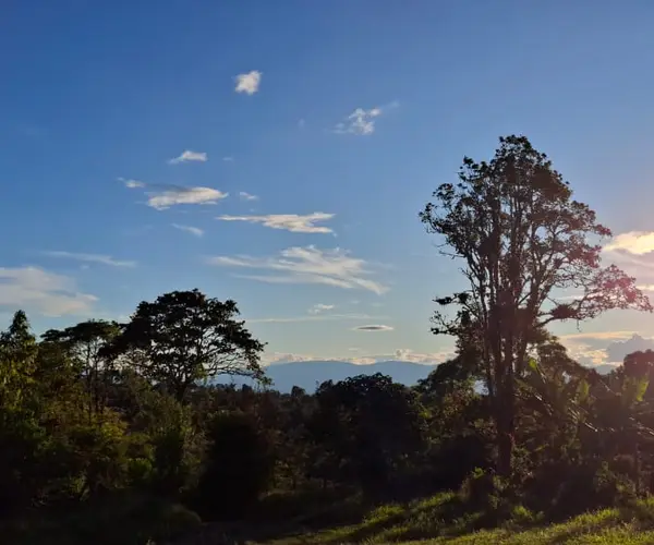 Finca y río — Libertad Campesina, Gigante (Huila)