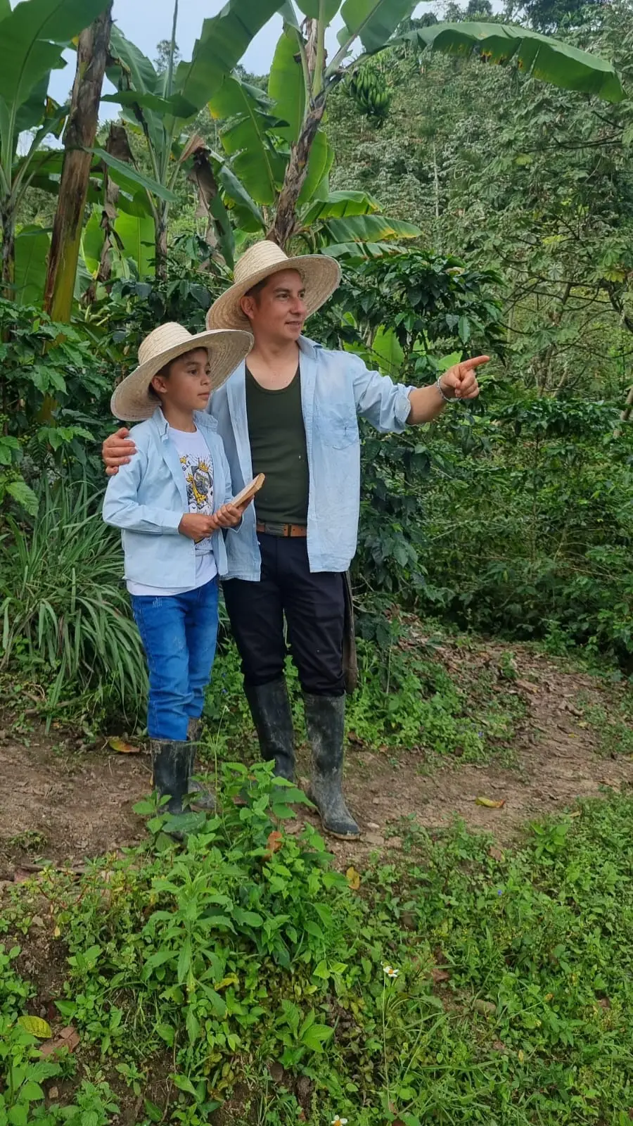 Familia campesina en su finca cafetera a la hora dorada, Gigante (Huila)